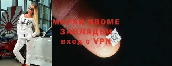 хмурый Арсеньев