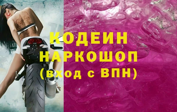хмурый Арсеньев