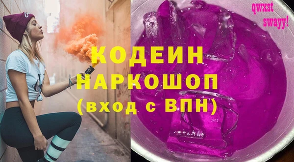 хмурый Арсеньев