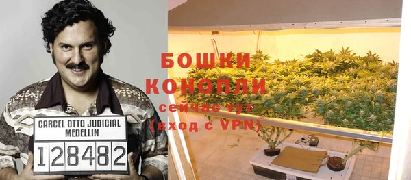 хмурый Арсеньев