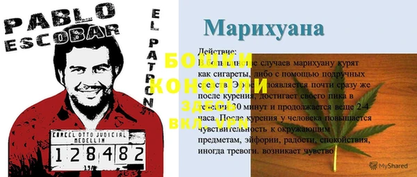 хмурый Арсеньев