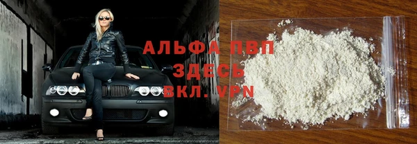 хмурый Арсеньев