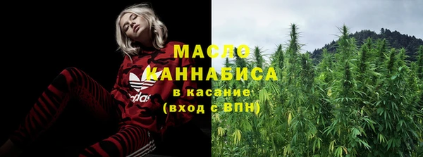 хмурый Арсеньев